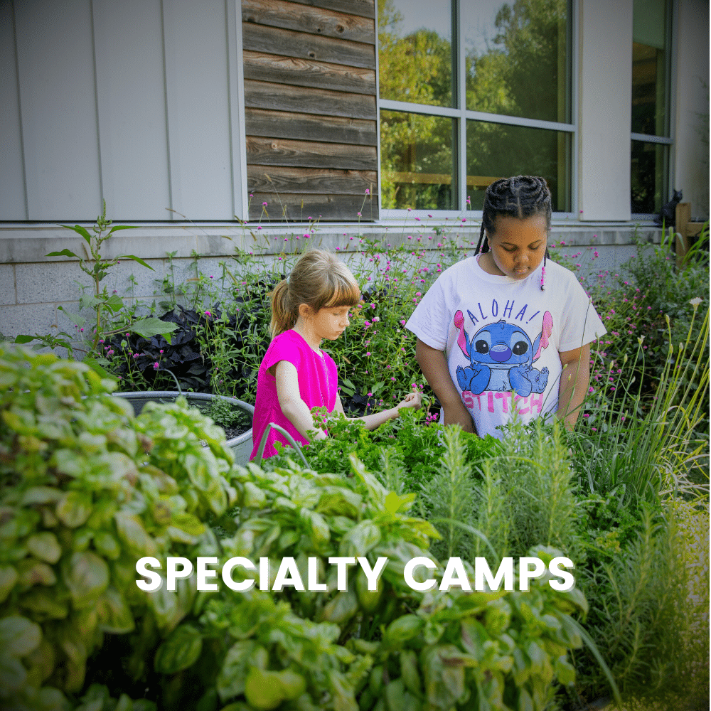 Two children working in the garden together